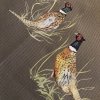 Pheasant detail